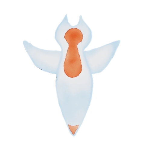 sea angel