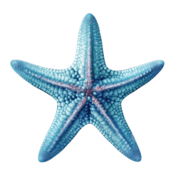 seastar