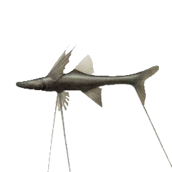 tripod
